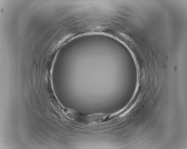 X0000059231161200511041234