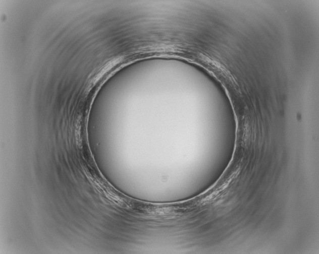 X0000059231162200511041234