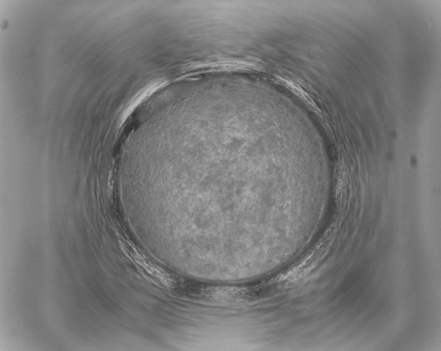 X0000059231163200511041234