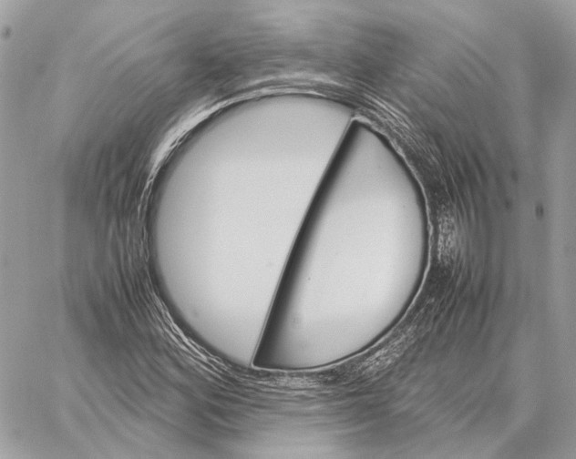 X0000059231164200511041234