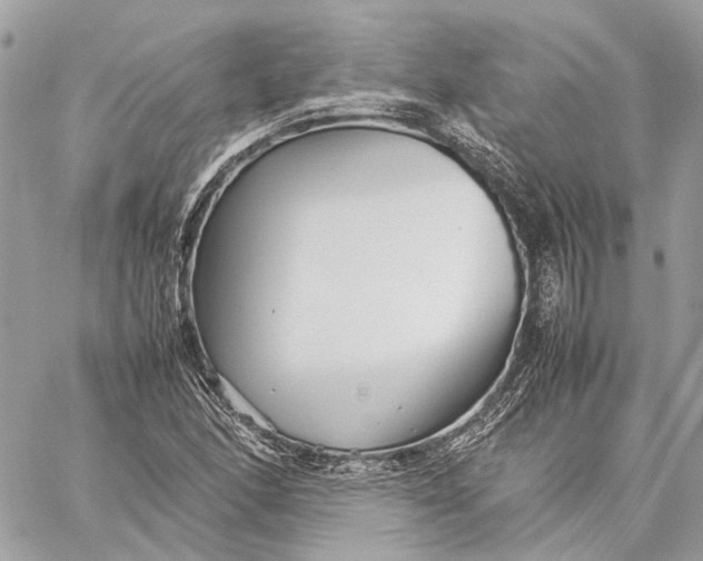 X0000059231166200511041234