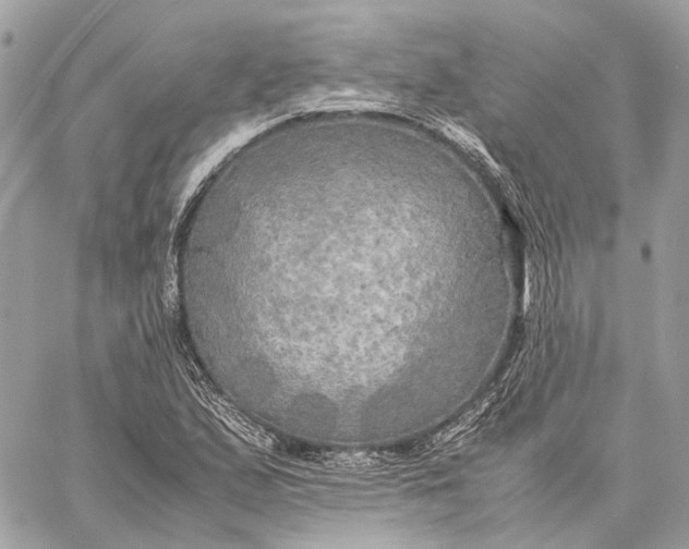 X0000059231167200511041234