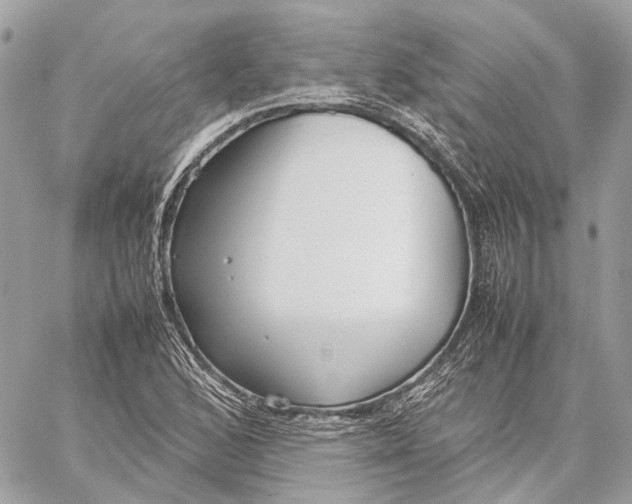 X0000059231168200511041234