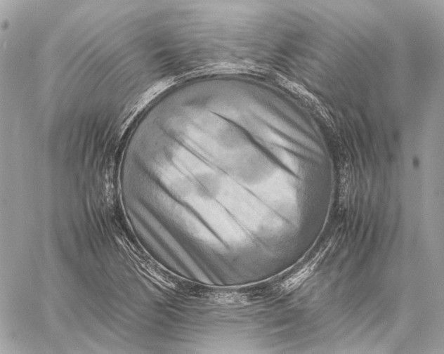 X0000059231170200511041234