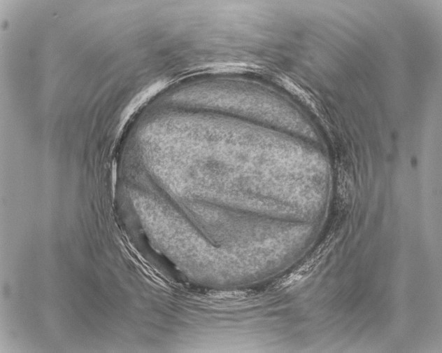 X0000059231171200511041234