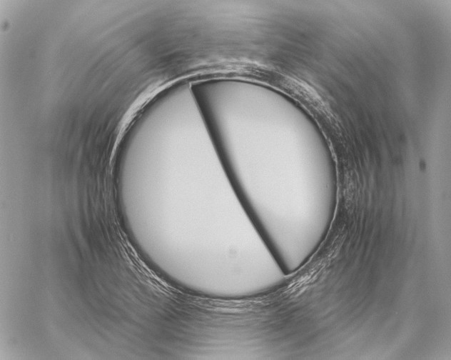 X0000059231172200511041234