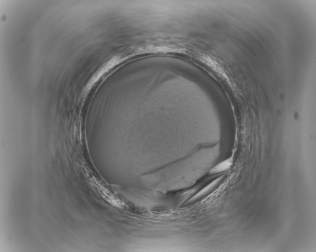 X0000059231173200511041234