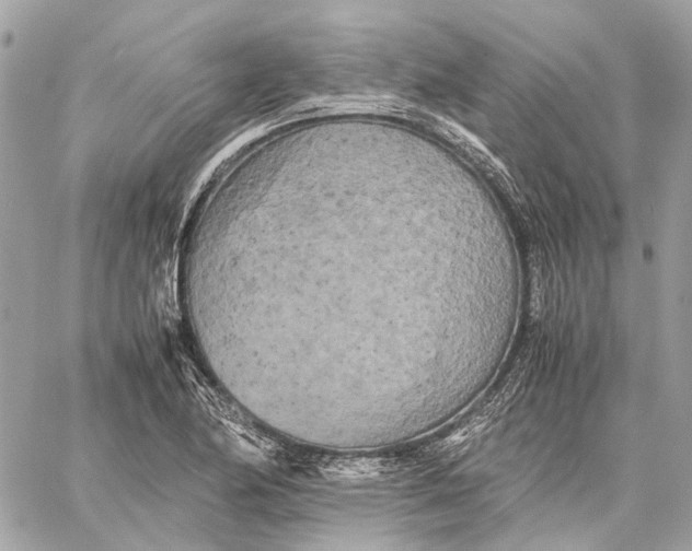 X0000059231174200511041234