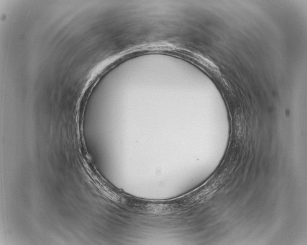 X0000059231176200511041234