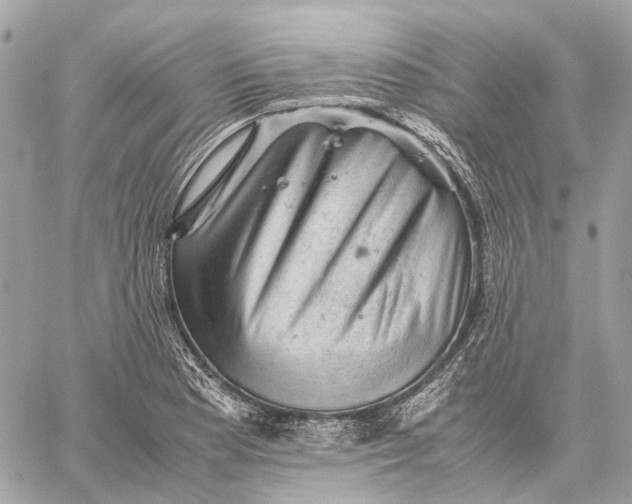 X0000059231177200511041234