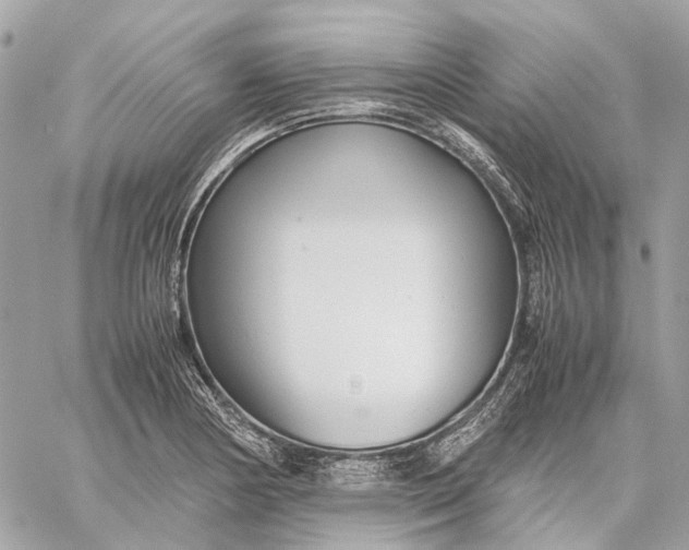 X0000059231178200511041234