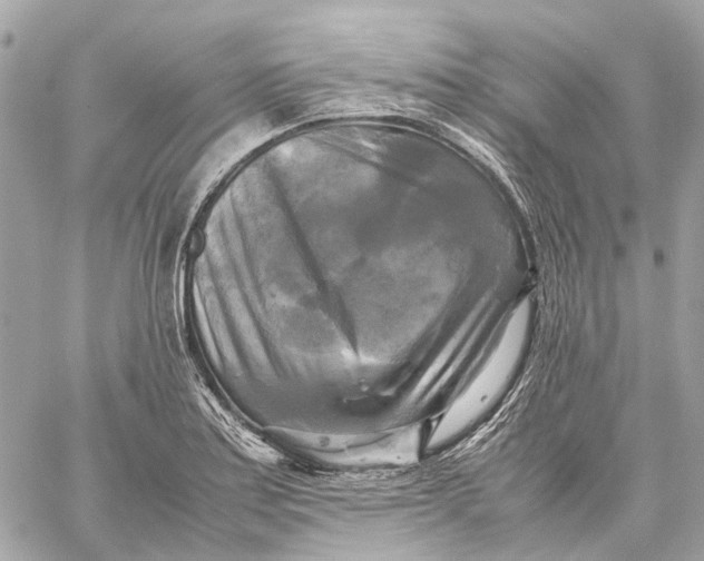 X0000059231179200511041234