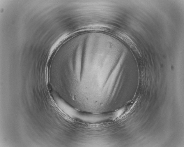 X0000059231180200511041234