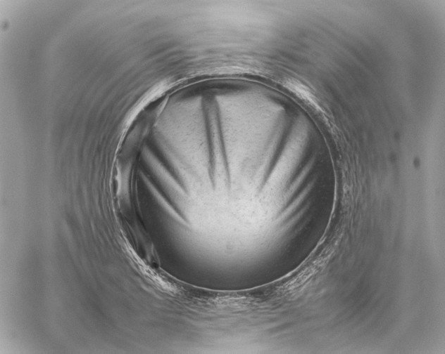 X0000059231181200511041234