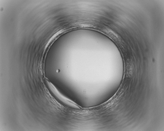 X0000059231182200511041234