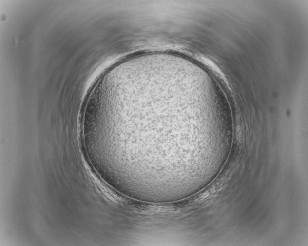 X0000059231183200511041234