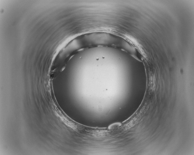 X0000059231184200511041234