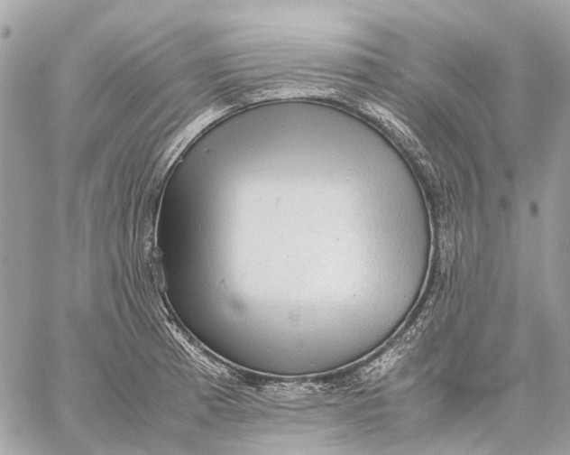 X0000059231185200511041234