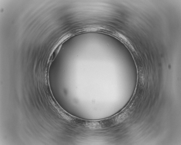 X0000059231186200511041234