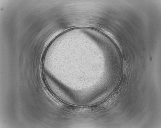 X0000059231187200511041234