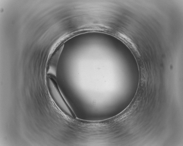 X0000059231188200511041234