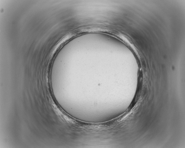 X0000059231189200511041234