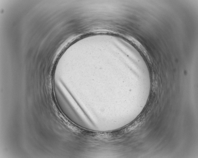 X0000059231191200511041234