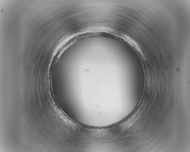 X0000059231192200511041234