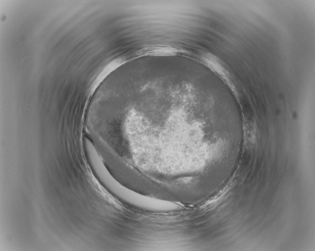 X0000059231194200511041234