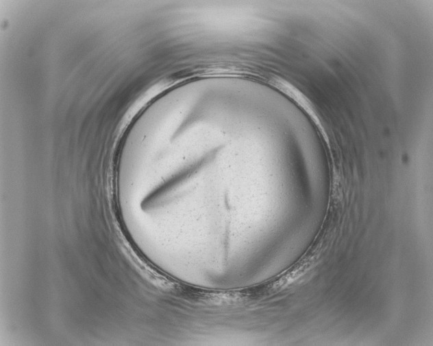 X0000059231195200511041234