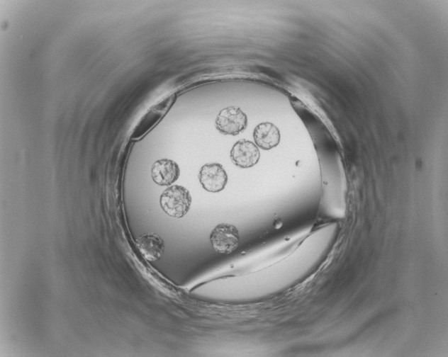 X0000059231197200511041234