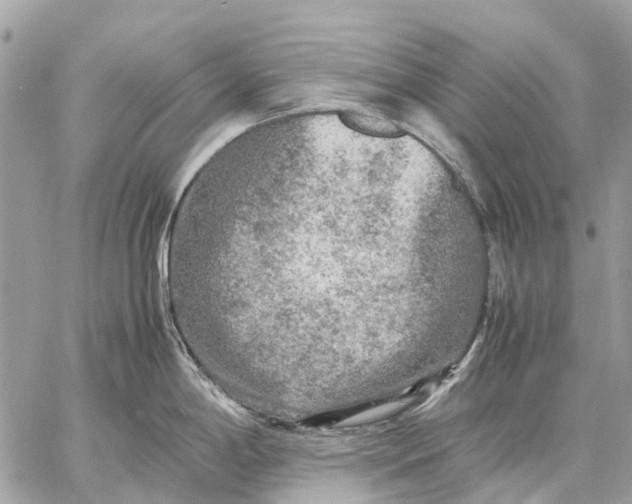 X0000059231198200511041233