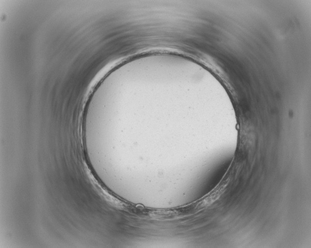 X0000059231199200511041233