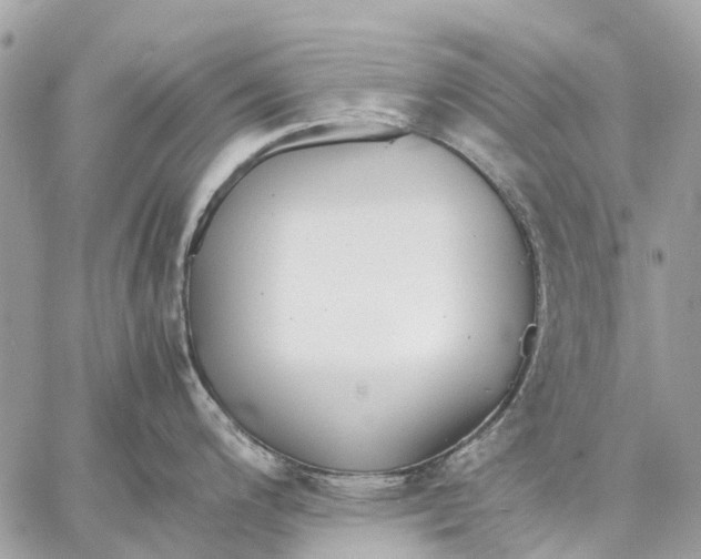 X0000059231200200511041233