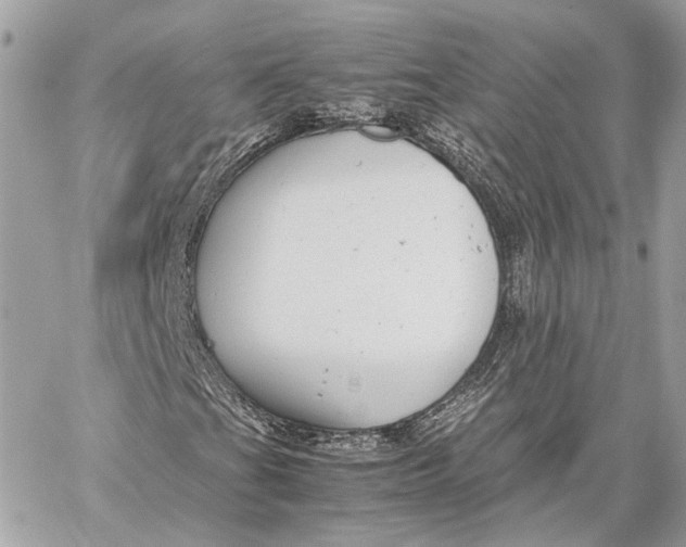 X0000059231201200511041233