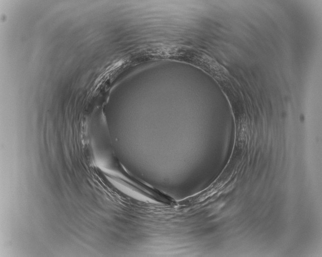 X0000059231202200511041233