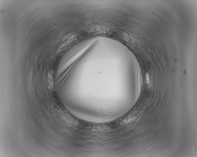 X0000059231203200511041233