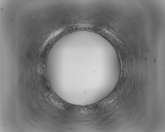 X0000059231207200511041233