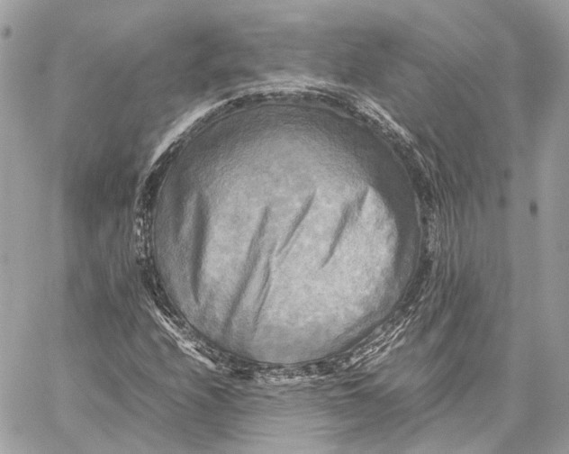 X0000059231208200511041233