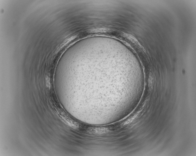 X0000059231209200511041233