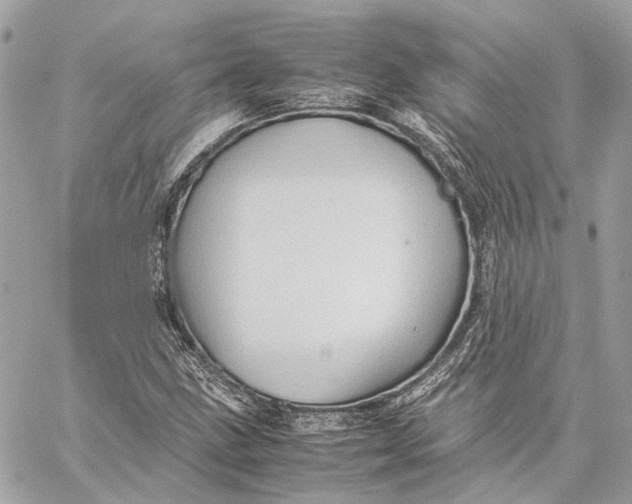 X0000059231211200511041233