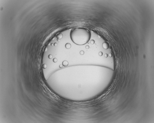 X0000059231212200511041233