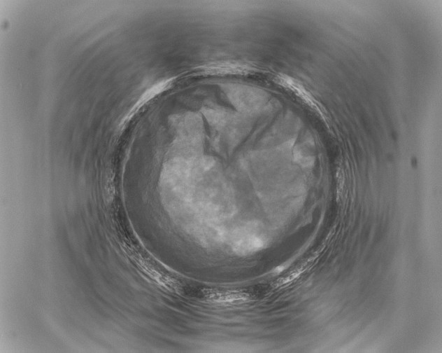 X0000059231213200511041233