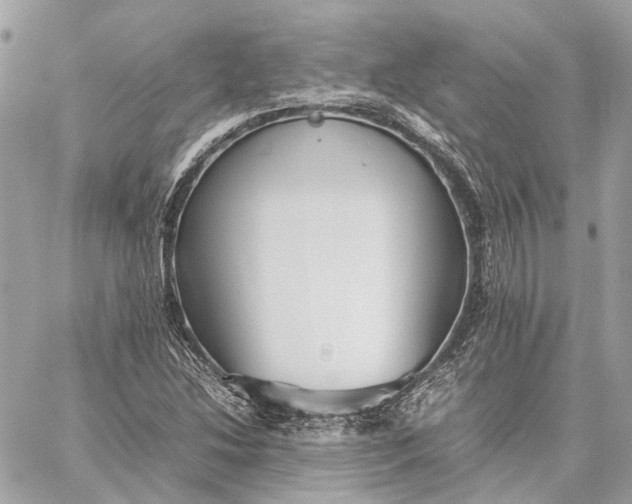 X0000059231214200511041233