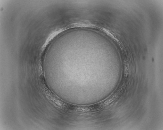 X0000059231215200511041233