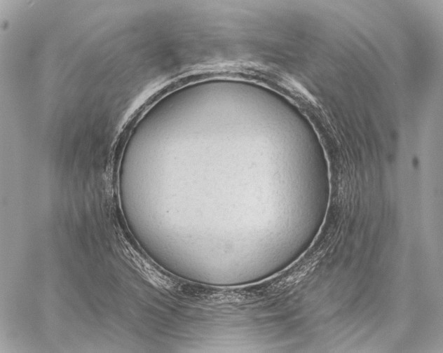 X0000059231216200511041233