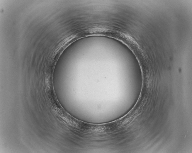 X0000059231217200511041233