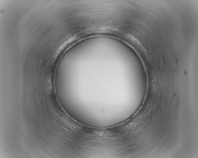 X0000059231218200511041233