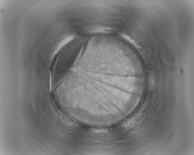 X0000059231219200511041233