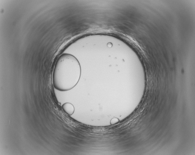 X0000059231220200511041233